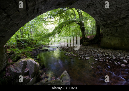 Fluss unter eine Steinbrücke in Cawdor Wäldern, Nairnshire, Schottland Stockfoto