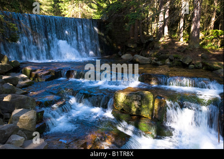 Fluss-Bach in der Nähe von Karpacz im Riesengebirge Polen Stockfoto