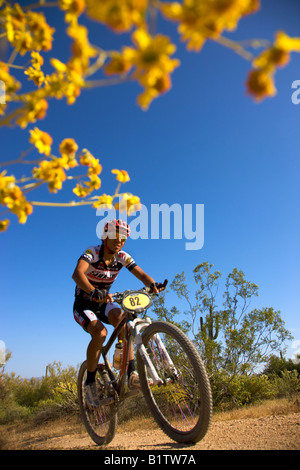 Das 2008 Pro Mens Kenda Cross Country Rennen im Rahmen des National Mountain Bike Serie Rennen McDowell Berg Regionalparks Stockfoto