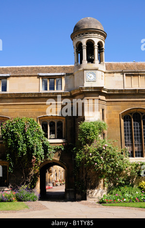 Caius Gericht, Gonville und Caius College, Cambridge England UK Stockfoto