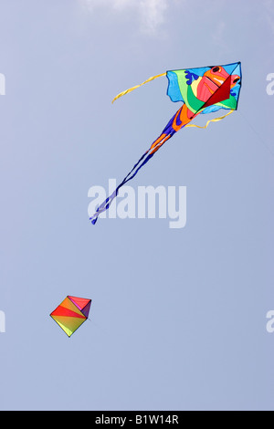 Zwei bunte Drachen sind in einem klaren blauen Himmel fliegen gesehen. Stockfoto