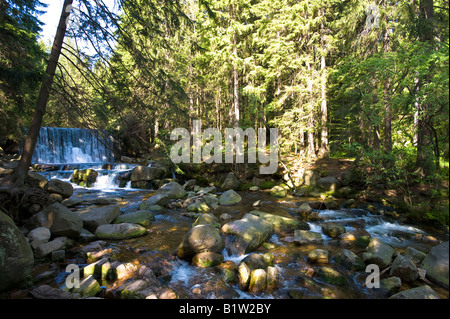 Fluss-Bach in der Nähe von Karpacz im Riesengebirge Polen Stockfoto