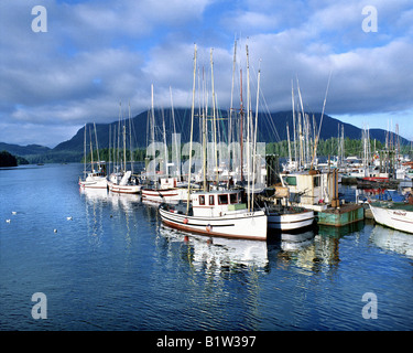 CA - Britisch-Kolumbien: Tofino Harbor auf Vancouver Island Stockfoto