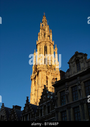 Turm der Grote Kerk großen Kirche in Antwerpen Belgien im letzten Sonnenlicht Stockfoto