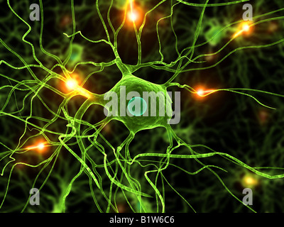 aktive Nervenzellen Stockfoto