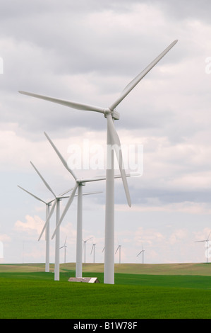 Windkraftanlagen im Süden von Alberta Stockfoto