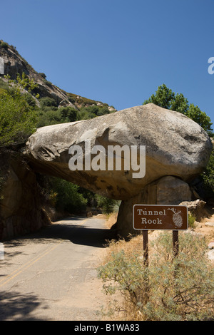 Tunnel-Rock an der Seite der Generäle Highway, Sequoia National Park, California, Vereinigte Staaten von Amerika Stockfoto