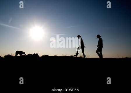 Silhouette-Schuss von zwei Mädchen auf einer Wanderung mit ihrem Hund in der warmen Abendsonne.  Aktive Jugend, die Natur genießen. Stockfoto