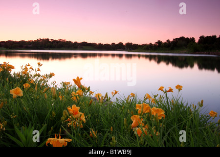 Morgendämmerung über See umrandet von Blumen brechen Stockfoto