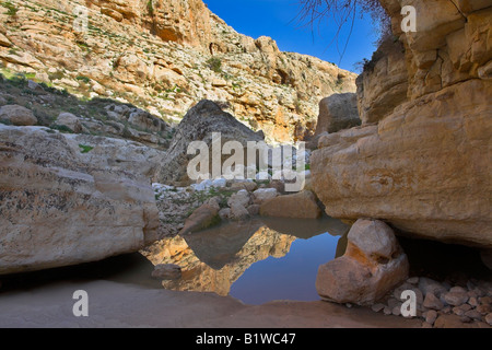 Einen kleinen Pool im Canyon sich Berge spiegeln Stockfoto