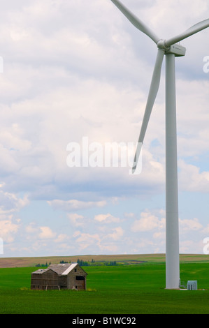 Windkraftanlagen im Süden von Alberta Stockfoto