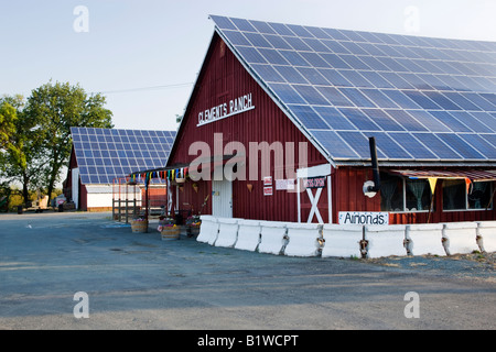 Sonnenkollektoren auf landwirtschaftlichen Gebäuden. Stockfoto