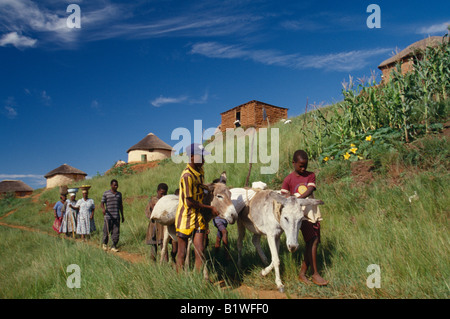 Südafrika KwaZulu Natal Melmoth Stockfoto