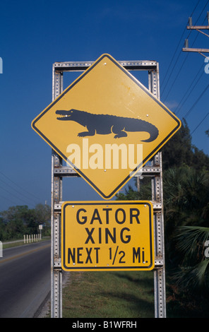 USA North America Florida Sanibel Island gelbe Alligator Gator Xing crossing Straßenschild Stockfoto