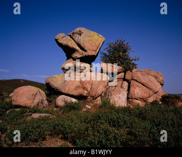 Frankreich Languedoc-Roussillon Pyrenäen-Orientales Stockfoto