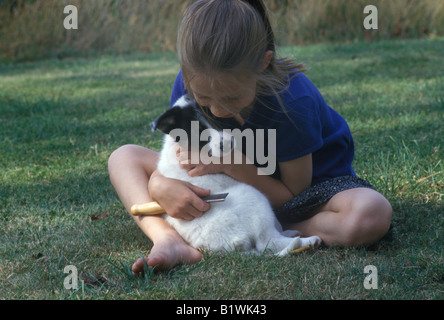 kleines Mädchen, ein junger Hund mit einem Flohkamm Kämmen Stockfoto