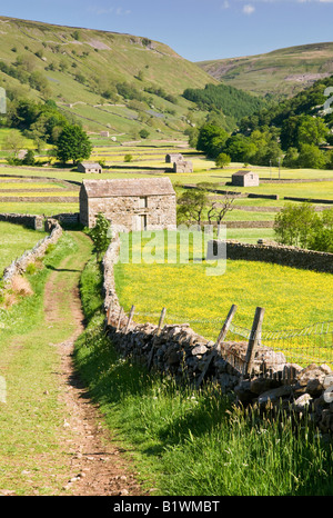 Stein, Scheunen und Wildblumenwiesen, unterstützt durch Kisdon Hill, in der Nähe von Muker, Swaledale, Yorkshire Dales National Park, England, UK Stockfoto