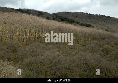 Nationalpark Madonie, Cefalu, Sizilien. Stockfoto