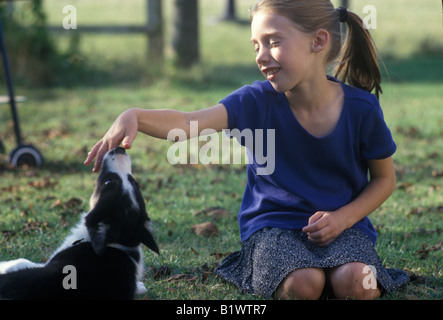 kleines Mädchen versucht, einen Border-Collie-Welpen zu trainieren Stockfoto