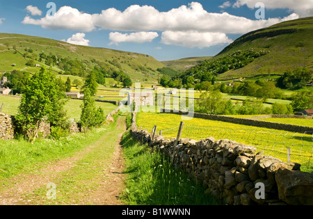 Stein, Scheunen und Wildblumenwiesen, unterstützt durch Kisdon Hill, in der Nähe von Muker, Swaledale, Yorkshire Dales National Park, England, UK Stockfoto