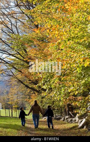 Mutter geht mit zwei Söhnen auf einem Wanderweg, gesäumt von Herbstlaub in Adams Massachusetts Stockfoto