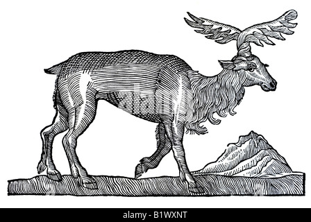 Von Dem Elend, Alces, Historia Animalum Conrad Gesner, 1551, 16. Jahrhundert, Renaissance, Europa Stockfoto