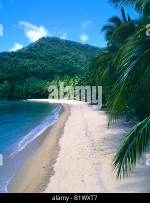 Tropischer Strand mit goldenem Sand, Palmen und üppig grünen Bergen unter blauem Himmel Stockfoto
