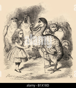 Der Dodo präsentiert feierlich Alice mit einem Fingerhut Stockfoto