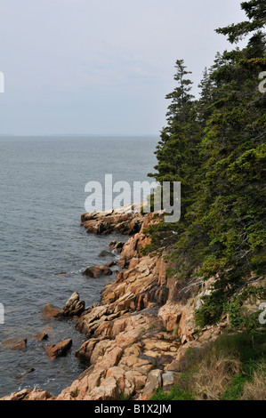 Der Bass Harbor Head Light in der Nähe von Bass Harbor, Maine. Blick nach Süden entlang der Küste Stockfoto