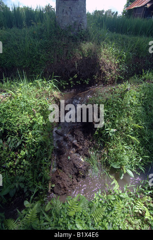 Zusammenbruch der traditionellen Wasser-Bewässerungs-System in den Reisfeldern in der Nähe von Ubud Bali Indonesien Stockfoto