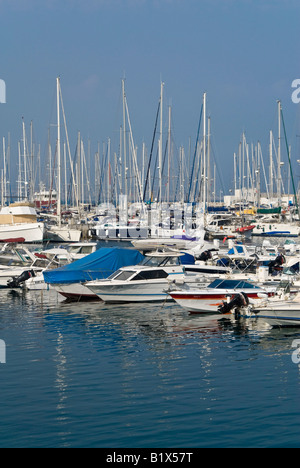 Vertikale erhöhte Ansicht über einen geschäftigen Hafen mit vielen teuren Yachten festgemacht an einem sonnigen Tag in einer Reihe neben dem Steg Stockfoto