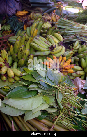 Betel Blätter (Piper Betle) unter Bananen und anderen grünen Gemüse auf dem Markt von Bedugul Bali Indonesien Stockfoto