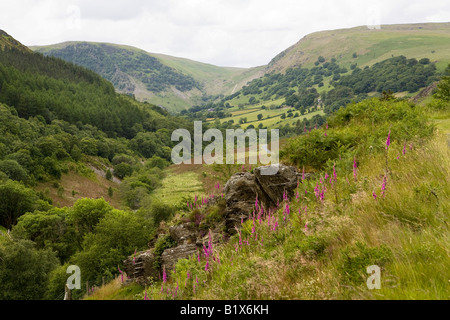 UK Wales Powys Rhayader Gilfach Nature Reserve River Wye Valley Stockfoto