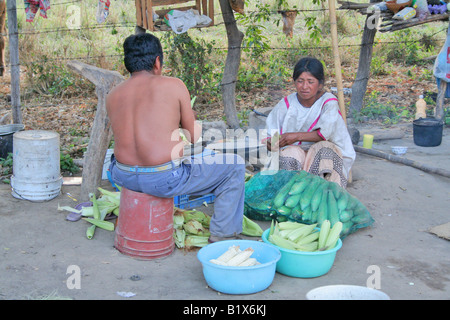 Ein indigenen mexikanischen Ehepaar dem Mais zum Abendessen entfernen Stockfoto