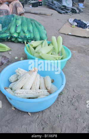 Mais und Schalen bereit, in einem armen indischen Dorf in Mexiko zu kochen Stockfoto