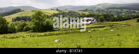 UK Wales Powys Rhayader Elan Tal von Gigrin Farm Red Kite Fütterung Seite Panorama Stockfoto