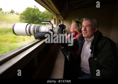 UK Wales Powys Rhayader Gigrin Farm Red Kite Feeding Website Fotograf und Frau in ausblenden Stockfoto