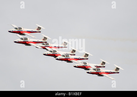 Die Snowbirds, Kanadas extreme Kunstflugstaffel, Manöver präzise zusammen in den Himmel. Stockfoto