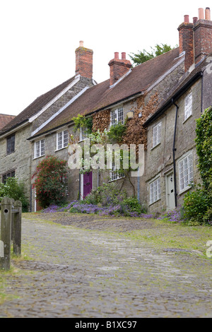 Berühmte gepflasterten Straße in Dorset Stockfoto