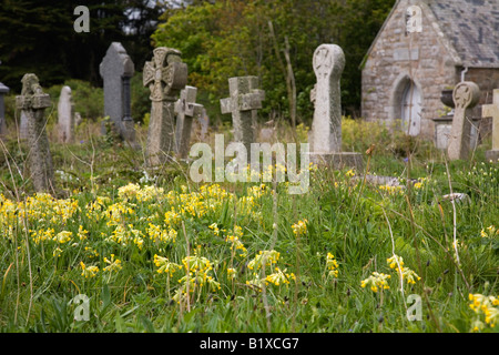 St Uny Kirchhof ein lebendiges Kirchhof Cornwall Stockfoto