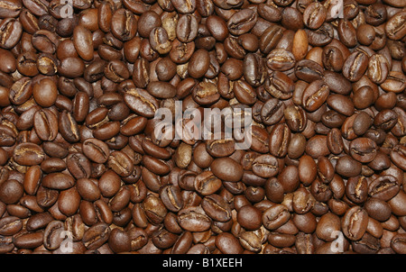 Geröstete Kaffeebohnen Stockfoto