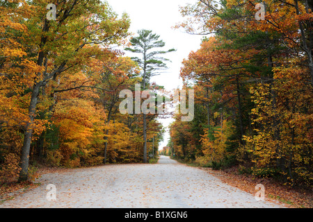 EUROPA BAY ROAD IN NEWPORT STAATSPARK DOOR COUNTY, WISCONSIN USA IM OKTOBER Stockfoto