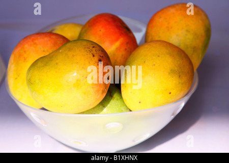 Mangos Stockfoto