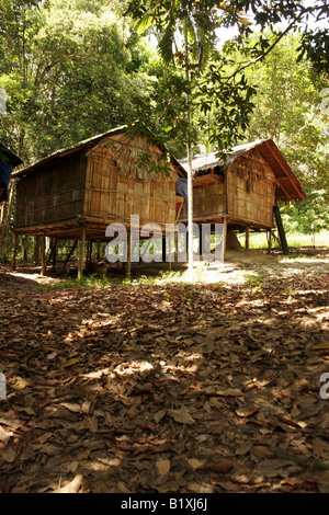 Traditionelles Haus Semelai indigener Bevölkerungsgruppen in Tasek Bera Malaysia Stockfoto