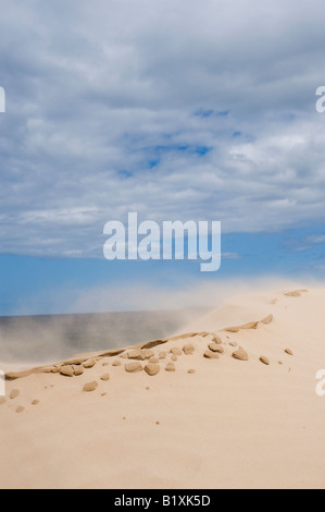 Wind bläst Sand aus einer Sanddüne am Strand von Findhorn, Moray, Schottland Stockfoto