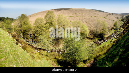 Das Tal des Flusses Goyt Peak District Nationalpark Derbyshire Midlands England Großbritannien Stockfoto