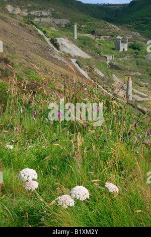 St Agnes blauen Hügeln Zinnmine Trevellas Tal Cornwall England uk gb Stockfoto