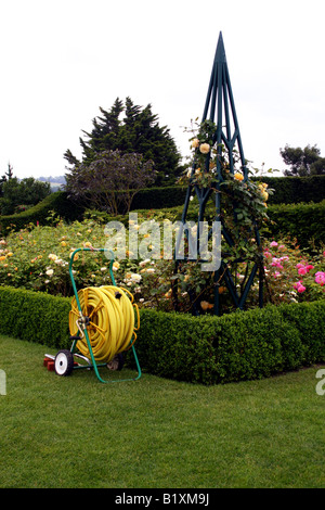 SCHLAUCHTROMMEL NEBEN EINEM HEDGE UND ROSENGARTEN. RHS HYDE HALL ESSEX UK Stockfoto