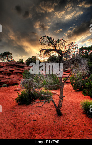 Canyon Stockfoto