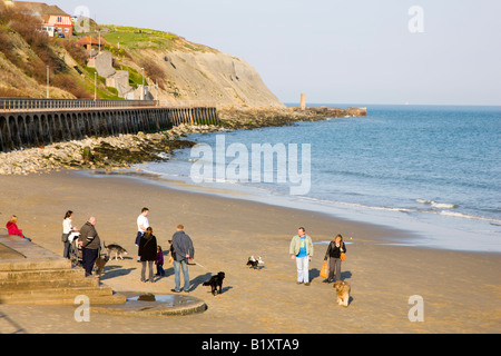 Passanten, die Hunde am Strand in Folkestone Kent Stockfoto
